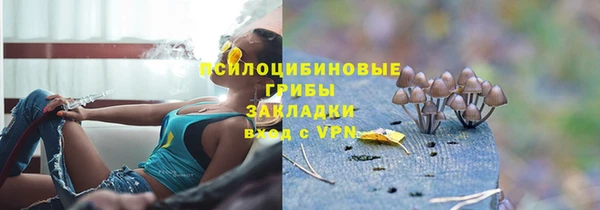 эйфоретик Алексеевка