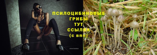 apvp Арсеньев