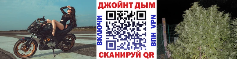 Купить  Тосно  Конопля семена 